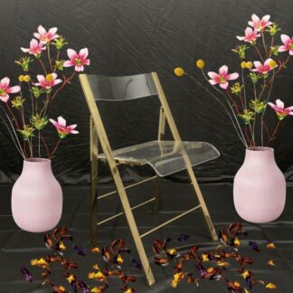 Clear Acrylic Folding Chair