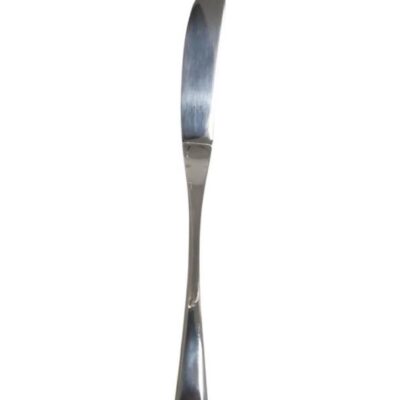 Renaissance Series - Butter Knife (Only rented in quantities of 10)