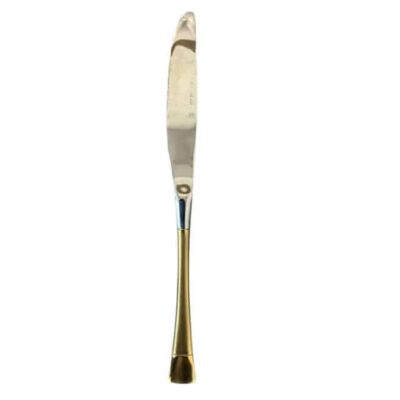 Transitional Series - Dinner Knife (Only rented in quantities of 10)